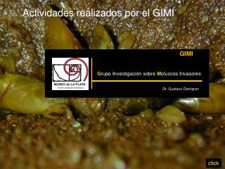 Actividades realizados por el GIMI