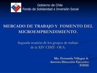 Ma. Fernanda Villegas A. Asesora Dirección Ejecutiva FOSIS
