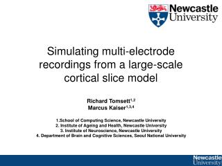 Simulating multi-electrode recordings from a large-scale cortical slice model