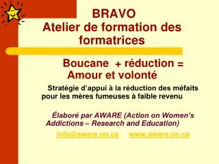 BRAVO Atelier de formation des formatrices