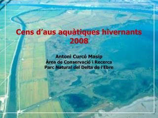 Cens d’aus aquàtiques hivernants 2008 Antoni Curcó Masip Àrea de Conservació i Recerca