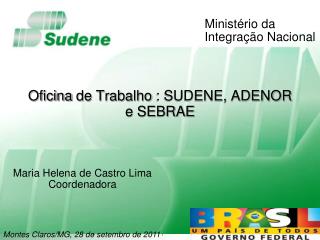 Oficina de Trabalho : SUDENE, ADENOR e SEBRAE