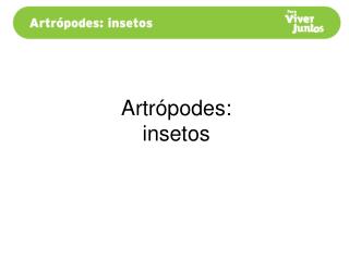 Artrópodes: insetos