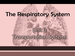 The RESPIRATORY System