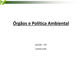 Órgãos e Política Ambiental CECON – TST Camila Leite