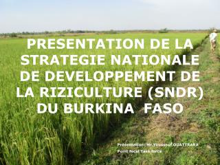 PRESENTATION DE LA STRATEGIE NATIONALE DE DEVELOPPEMENT DE LA RIZICULTURE (SNDR) DU BURKINA FASO