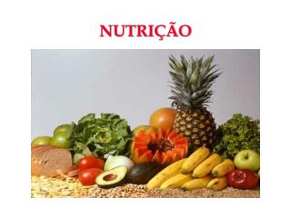 NUTRIÇÃO