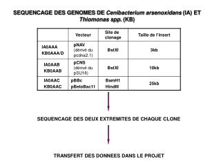 SEQUENCAGE DES DEUX EXTREMITES DE CHAQUE CLONE