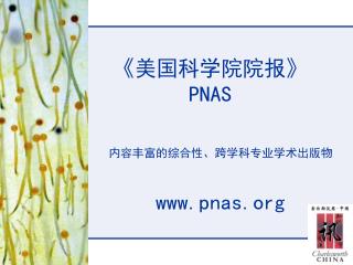 《 美国科学院院报 》 PNAS