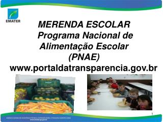 MERENDA ESCOLAR Programa Nacional de Alimentação Escolar (PNAE) portaldatransparencia.br