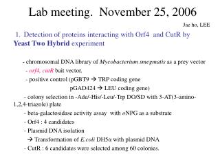 Lab meeting. November 25, 2006