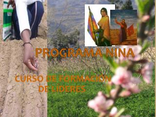 PROGRAMA NINA