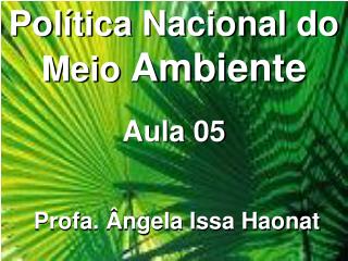 Política Nacional do Meio Ambiente