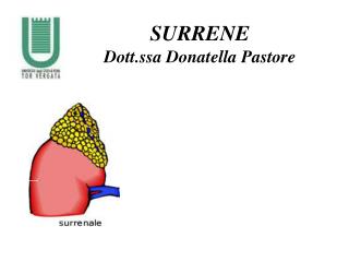 SURRENE Dott.ssa Donatella Pastore