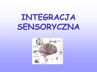 INTEGRACJA SENSORYCZNA