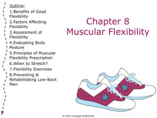 Chapter 8 Muscular Flexibility