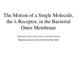 The Motion of a Single Molecule, the λ-Receptor, in the Bacterial Outer Membrane