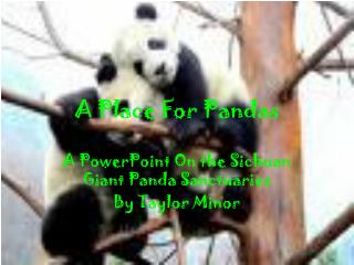 A Place For Pandas