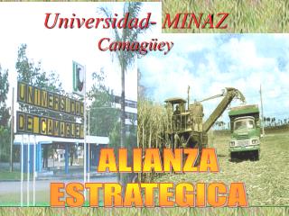 Universidad- MINAZ Camagüey