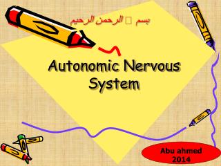 Autonomic Nervous System