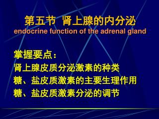 第五节 肾上腺的内分泌 endocrine function of the adrenal gland