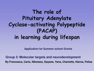 The role of Pituitary Adenylate Cyclase-activating Polypeptide (PACAP)