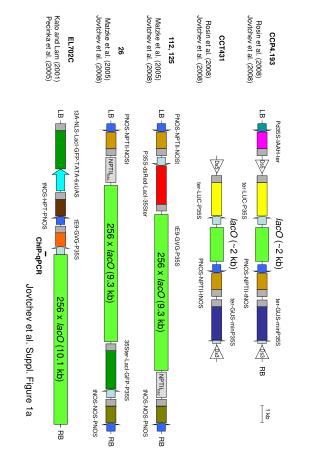 Jovtchev et al. Suppl. Figure 1a