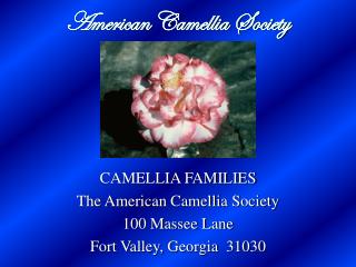 American Camellia Society