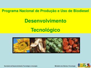 Programa Nacional de Produção e Uso de Biodiesel Desenvolvimento Tecnológico