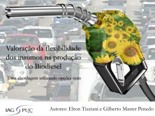 Valoração da flexibilidade dos insumos na produção do Biodiesel