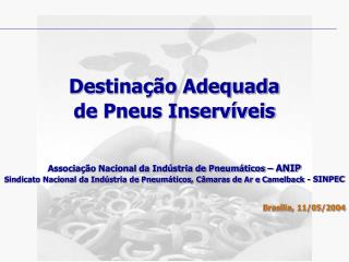 Destinação Adequada de Pneus Inservíveis