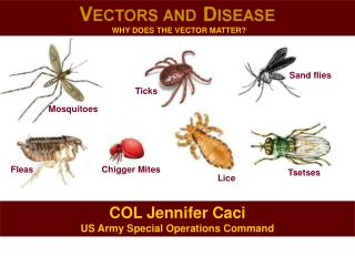 COL Jennifer Caci US Army Special Operations Command