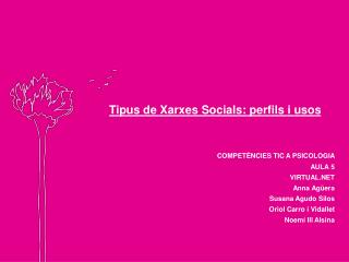 MAPA CONCEPTUAL-XARXES SOCIALS