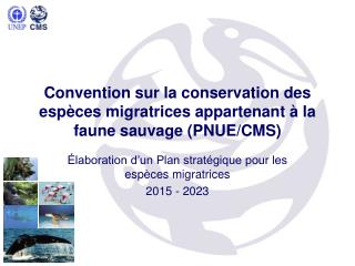 Convention sur la conservation des espèces migratrices appartenant à la faune sauvage (PNUE/CMS)