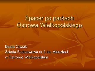 Spacer po parkach Ostrowa Wielkopolskiego