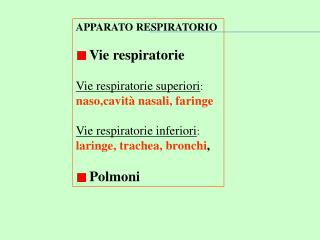 APPARATO RESPIRATORIO Vie respiratorie Vie respiratorie superiori : naso,cavità nasali, faringe