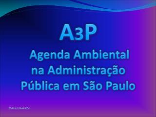 A 3 P Agenda Ambiental na Administração Pública em São Paulo