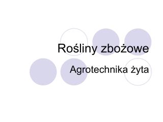 Rośliny zbożowe