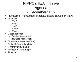 NIPPC’s IIBA Initiative Agenda 7 December 2007