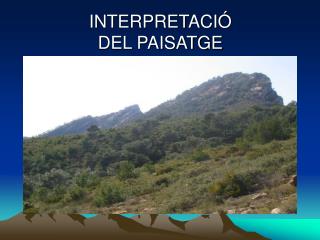 INTERPRETACIÓ DEL PAISATGE