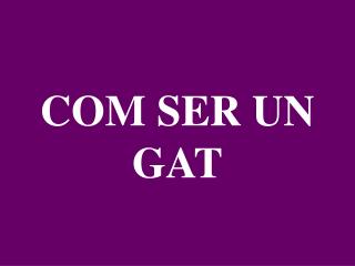 COM SER UN GAT