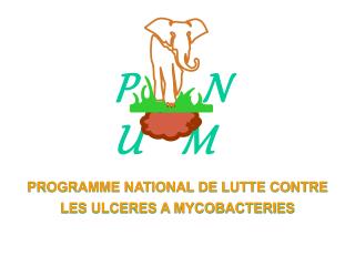 PROGRAMME NATIONAL DE LUTTE CONTRE LES ULCERES A MYCOBACTERIES