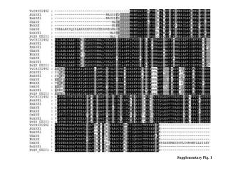 Supplementary Fig. 1