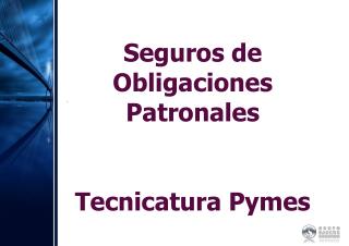 Seguros de Obligaciones Patronales Tecnicatura Pymes