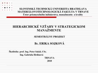 SEMESTRÁLNY PROJEKT Bc. ERIKA SOJKOVÁ Školitelia: prof. Ing. Peter Sakál, CSc.