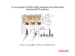 W Shao et al. Nature 000 , 1 -5 (2012) doi:10.1038/nature11748