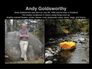 Andy Goldsworthy