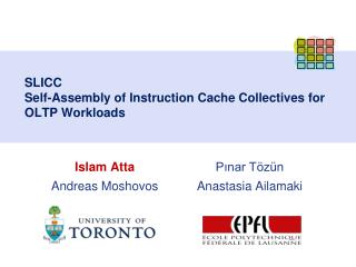 SLICC Self-Assembly of Instruction Cache Collectives for OLTP Workloads