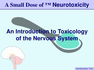 A Small Dose of ™ Neurotoxicity
