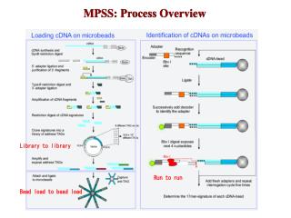 MPSS: Process Overview